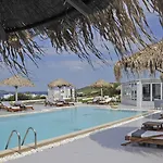 Anemoi Aparthotel Naousa (Paros)